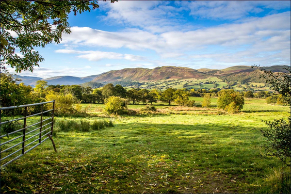 Looking back from the Lorton path towards Low Fell (www.andrewswalks.co.uk)